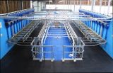 Parallel Milking Parlours