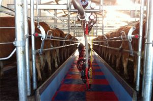 Click Here To Enlarge This Photo Of Parlour - MidiLine