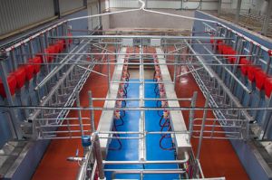 Click Here To Enlarge This Photo Of Parlour - Double up.