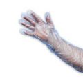 Silktouch Examination Gloves